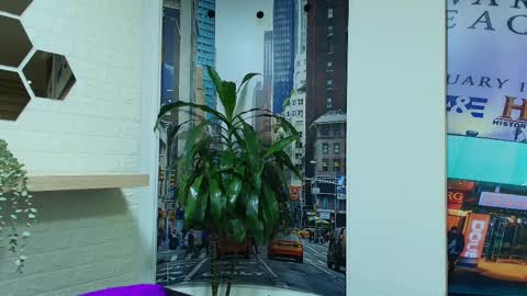 Kitten online show from 03.08.25