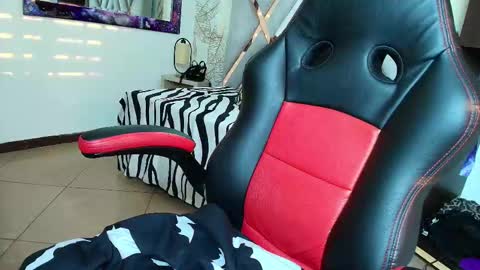 Kitten online show from 02.27.26