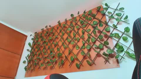 Kitten online show from 04.14.26