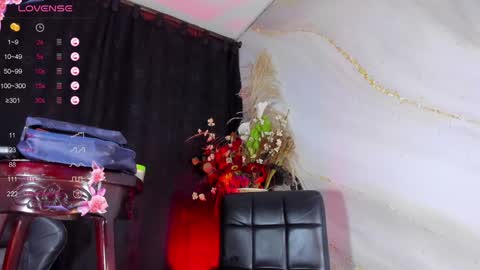 Snapshot of naughty_lizeth chatting on 12.15.24 lizeth online show from 12.15.24