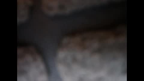 naughtypanties123 online show from 03.11.26