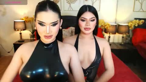 F R A N Z I A online show from 12.15.25