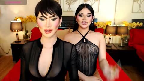 F R A N Z I A online show from 02.07.26