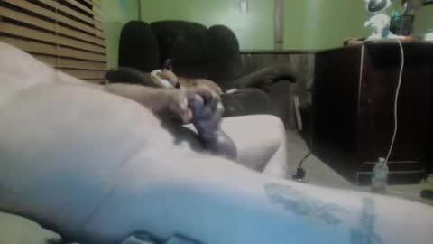 ned is naughty online show from 03.07.25