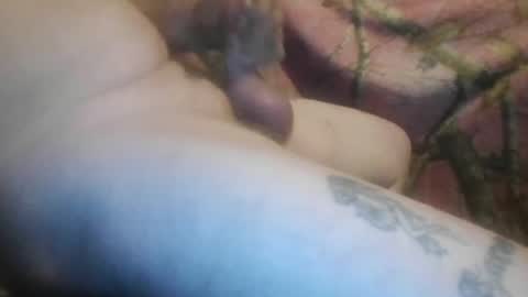 ned is naughty online show from 02.12.26