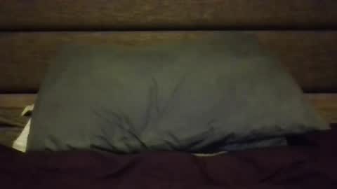 Nerfylil online show from 01.08.26