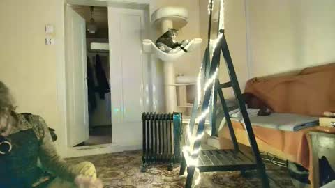 Snapshot of nessieanalemma chatting on 02.05.26 nessieanalemma online show from 02.05.26