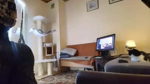 Snapshot of nessieanalemma chatting on 02.24.26 nessieanalemma online show from 02.24.26