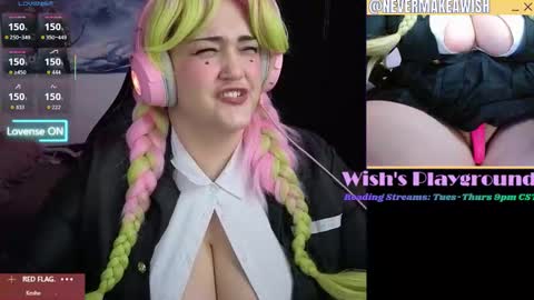 Snapshot of nevermakeawish chatting on 02.15.26 Wishs Playground online show from 02.15.26