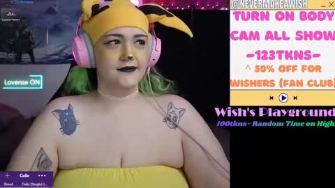 Snapshot of nevermakeawish chatting on 02.17.26 Wishs Playground online show from 02.17.26