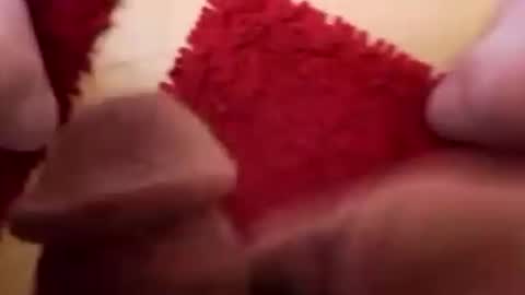 Snapshot of newbookwriter chatting on 12.02.24 BookWriter online show from 12.02.24