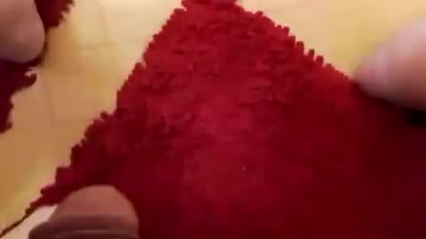 Snapshot of newbookwriter chatting on 12.07.24 BookWriter online show from 12.07.24