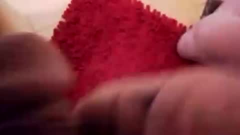 Snapshot of newbookwriter chatting on 12.13.24 BookWriter online show from 12.13.24