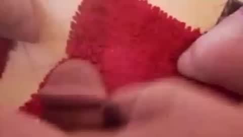 Snapshot of newbookwriter chatting on 12.20.24 BookWriter online show from 12.20.24