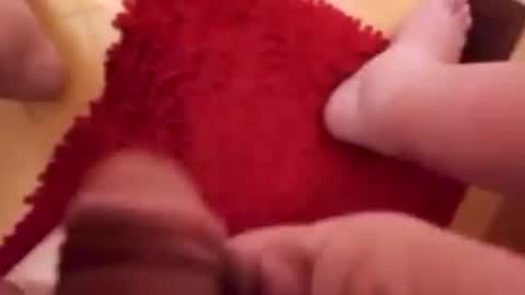 Snapshot of newbookwriter chatting on 01.22.25 BookWriter online show from 01.22.25