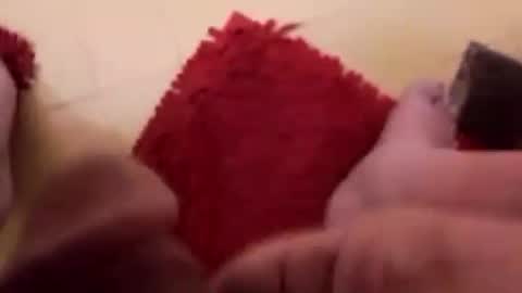 Snapshot of newbookwriter chatting on 02.12.25 BookWriter online show from 02.12.25