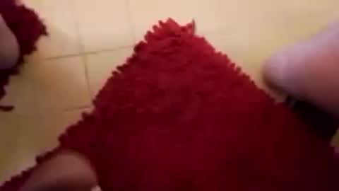 Snapshot of newbookwriter chatting on 02.15.25 BookWriter online show from 02.15.25