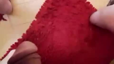 Snapshot of newbookwriter chatting on 02.23.25 BookWriter online show from 02.23.25