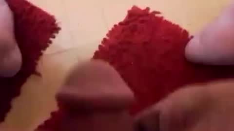 Snapshot of newbookwriter chatting on 02.24.25 BookWriter online show from 02.24.25