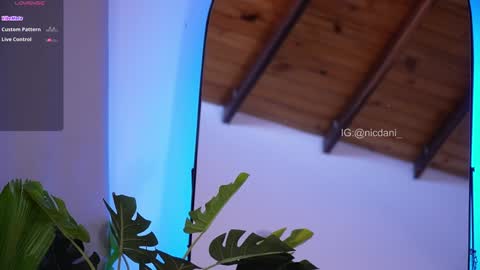 Dani 3 online show from 01.18.25