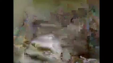 Nick online show from 01.05.25