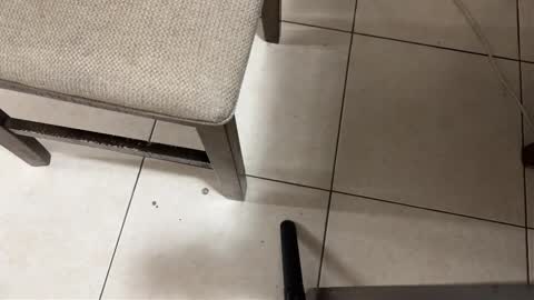 Carlos Nico online show from 03.15.26