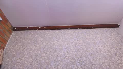 Nicol online show from 01.11.25