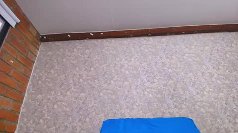 Nicol online show from 01.12.25