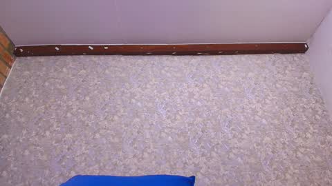 Nicol online show from 01.13.25