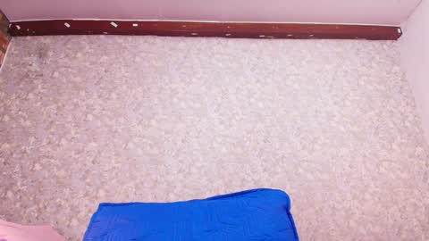 Nicol online show from 01.24.25