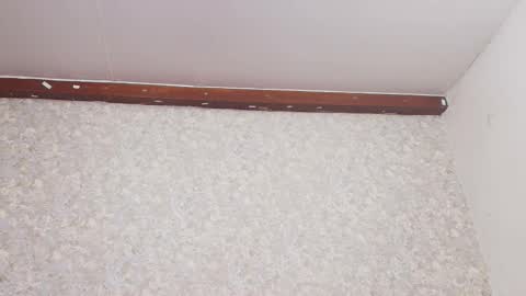 Nicol online show from 03.03.25