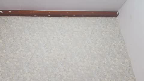 Nicol online show from 03.08.25