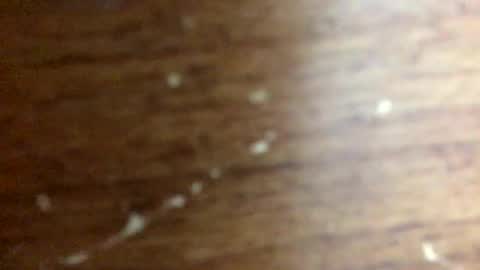 nightmoves1970 online show from 11.20.25