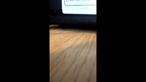 nightmoves1970 online show from 12.02.25