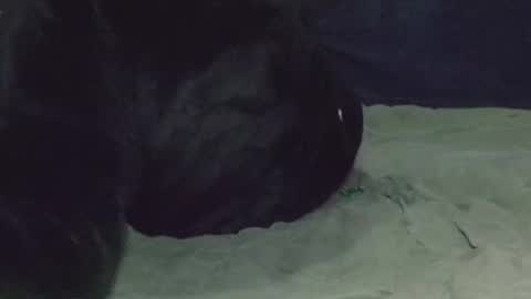 Watch us Fuck online show from 03.08.25