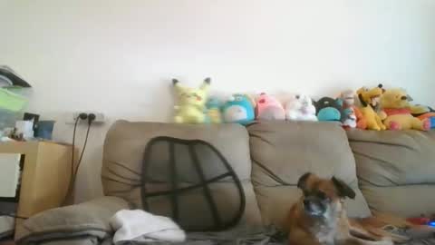 Brian and Logan Brogan online show from 11.19.25