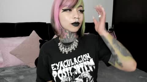 Snapshot of nikkiramone chatting on 01.23.25 Nikki Ramone   online show from 01.23.25