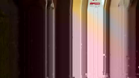 Nikolay online show from 03.11.26