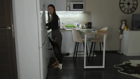 Bella online show from 04.05.26