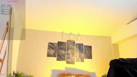 Nils online show from 02.07.26