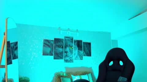 Nils online show from 02.20.26