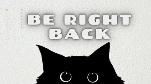 Jennet online show from 12.10.24