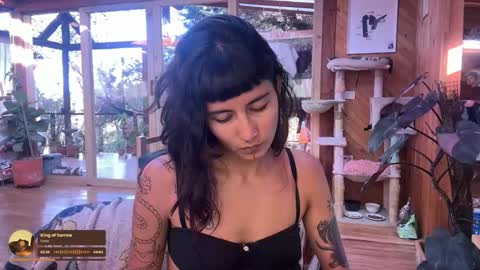 Nina.  online show from 10.20.25