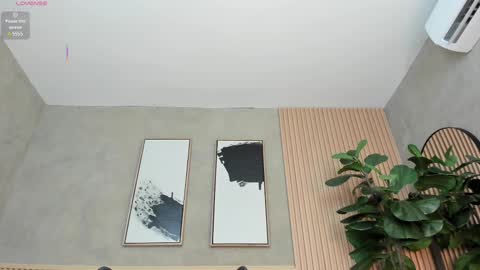 NINA online show from 02.25.25