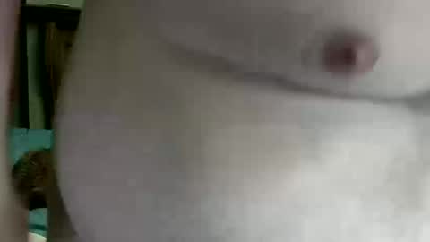 Nip Fun Bear online show from 10.16.25