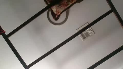 nipplechaser online show from 01.18.25