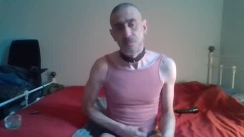 nirevess online show from 02.11.25