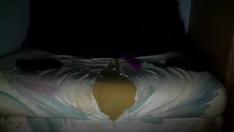 njp360 online show from 04.08.26