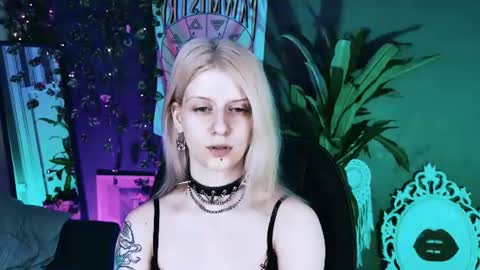 Snapshot of noah_elmer chatting on 07.11.26 REAL name LiaDM are always open online show from 07.11.26