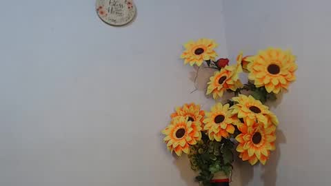 Noah Millers online show from 01.06.25